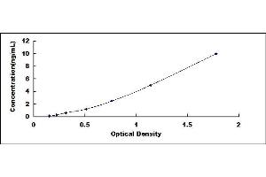 Typical standard curve (PLAGL2 ELISA 试剂盒)