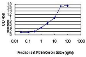 Detection limit for recombinant GST tagged STAU2 is approximately 0. (Double-stranded RNA-binding protein Staufen homolog 2 (STAU2) (AA 2-90) 抗体)