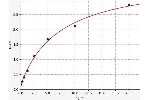 CNR1 ELISA 试剂盒