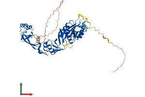 Protein Structure (PS) image for tRNA Methyltransferase 5 (TRMT5) (AA 1-501) protein (His tag) (ABIN7560828)