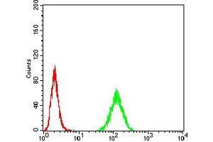 Flow cytometric analysis of Hela cells using Rab13 mouse mAb (green) and negative control (red). (RAB13 抗体  (AA 66-200))