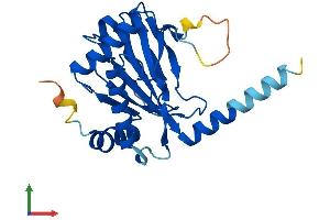 Protein Structure (PS) image for Egl-9 Family Hypoxia Inducible Factor 3 (EGLN3) (AA 1-239) protein (His tag) (ABIN7564777)