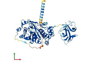 AlphaFold protein structure predicition of Mouse Recombinant Galnt16 Protein, UniprotID Q9JJ61