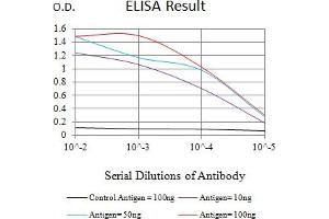 Black line: Control Antigen (100 ng),Purple line: Antigen (10 ng), Blue line: Antigen (50 ng), Red line:Antigen (100 ng) (Calpain 2 抗体  (AA 489-700))