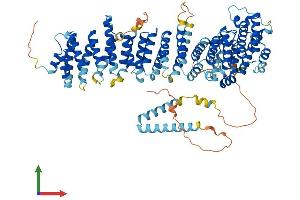 AlphaFold protein structure predicition of Mouse Recombinant Efr3a Protein, UniprotID Q8BG67