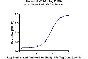 ELISA image for Receptor tyrosine-protein kinase erbB-2 (ErbB2/Her2) (AA 23-652) protein (Fc Tag) (ABIN7274796)