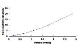 ELISA image for Cysteine-Rich with EGF-Like Domains 1 (CRELD1) ELISA Kit (ABIN1383643)