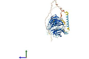 Protein Structure (PS) image for WD Repeat Domain 50 (UTP18) (AA 1-556) protein (His tag) (ABIN7545038)