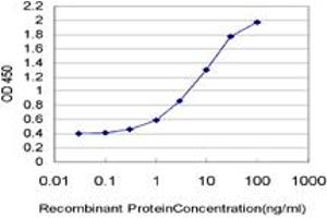 Detection limit for recombinant GST tagged PRKCZ is approximately 0. (PKC zeta 抗体  (AA 165-255))