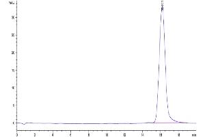 Size-exclusion chromatography-High Pressure Liquid Chromatography (SEC-HPLC) image for CD276 (CD276) (AA 29-245) protein (His-Avi Tag,Biotin) (ABIN7273969)