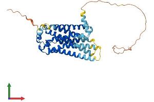 AlphaFold protein structure predicition of Mouse Recombinant S1pr3 Protein, UniprotID Q9Z0U9