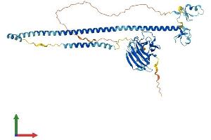 Protein Structure (PS) image for Tripartite Motif Containing 16 (TRIM16) (AA 1-564) protein (His tag) (ABIN7544678)