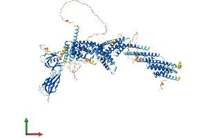 Protein Structure (PS) image for Ca++-Dependent Secretion Activator (CADPS) (AA 1-1355) protein (His tag) (ABIN7564233)