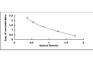 Typical standard curve (Cortisone ELISA 试剂盒)