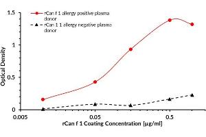 ELISA (enzyme-linked immunosorbent assay) test was designed to prove the bond between the coated target recombinant allergen rCan f 1 and allergen-specific human plasma IgG4 antibodies of Canis familiaris positive donor. (Lipocalin 1 Protein (LCN1))