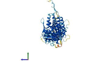 AlphaFold protein structure predicition of Human Recombinant MKKS Protein, UniprotID Q9NPJ1