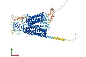 Protein Structure (PS) image for Solute Carrier Organic Anion Transporter Family, Member 1B1 (SLCO1B1) (AA 1-691) protein (His tag) (ABIN7555560)