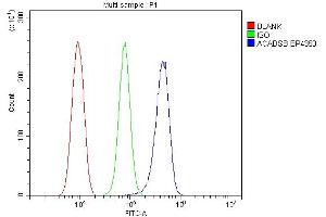 Flow Cytometry analysis of RH-35 cells using anti-SBCAD/ACADSB antibody (ABIN7602837).