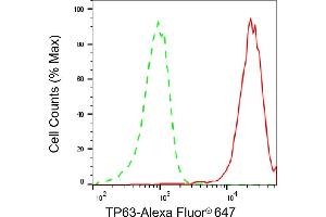 Flow cytometric analysis of TP63 expression in HaCaT cells using TP63 antibody (ABIN7800693), 1:2,000). (p63 抗体)