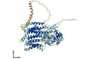 Protein Structure (PS) image for Dpy-19-Like 2 (DPY19L2) (AA 1-758) protein (His tag) (ABIN7553619)