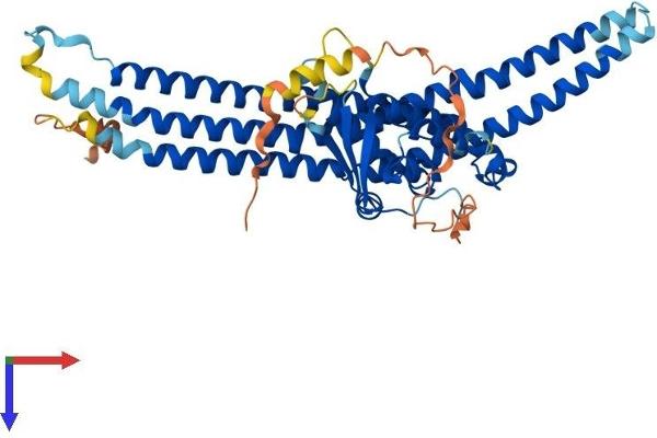 SNX8 Protein (AA 1-465) (His tag)