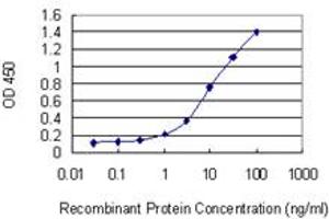 Detection limit for recombinant GST tagged AXIN2 is 0. (AXIN2 抗体  (AA 611-710))