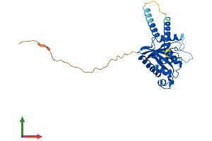 Protein Structure (PS) image for GTPase, IMAP Family Member 6 (GIMAP6) (AA 1-292) protein (His tag) (ABIN7547925)
