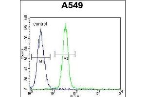 TDRD7 Antibody (C-term) (ABIN654935 and ABIN2844578) flow cytometric analysis of A549 cells (right histogram) compared to a negative control cell (left histogram). (TDRD7 抗体  (C-Term))