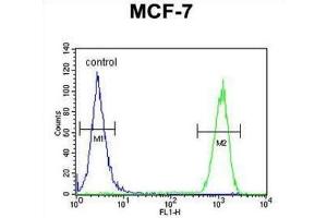 Flow Cytometry (FACS) image for anti-Cyclin T1 (CCNT1) antibody (ABIN2995766) (Cyclin T1 抗体)