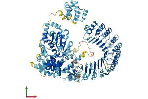 Protein Structure (PS) image for NLR Family, CARD Domain Containing 4 (NLRC4) (AA 1-1024) protein (His tag) (ABIN7563737)