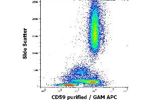 Flow cytometry surface staining pattern of human peripheral blood stained using anti-human CD59 (MEM-43/5) purified antibody (concentration in sample 0. (CD59 抗体)