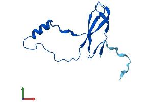 Protein Structure (PS) image for Ribosomal Protein L36a (RPL36A) (AA 1-106) protein (His tag) (ABIN7556755)