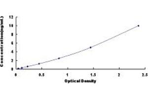 Typical standard curve (Neurexophilin 1 ELISA 试剂盒)