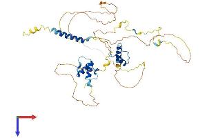 AlphaFold protein structure predicition of Mouse Recombinant Tmpo Protein, UniprotID Q61029