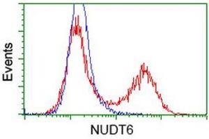 HEK293T cells transfected with either RC203470 overexpress plasmid (Red) or empty vector control plasmid (Blue) were immunostained by anti-NUDT6 antibody (ABIN2454221), and then analyzed by flow cytometry. (NUDT6 抗体)