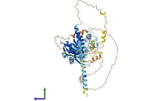 Protein Structure (PS) image for RIO Kinase 2 (RIOK2) (AA 1-547) protein (His tag) (ABIN7560572)