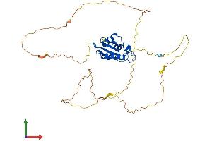 AlphaFold protein structure predicition of Mouse Recombinant Irf2 Protein, UniprotID P23906