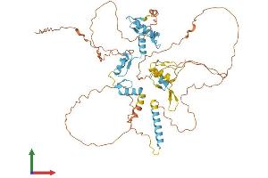AlphaFold protein structure predicition of Human Recombinant IKZF2 Protein, UniprotID Q9UKS7