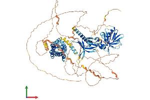 AlphaFold protein structure predicition of Human Recombinant FGD1 Protein, UniprotID P98174
