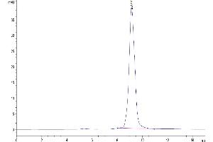 Size-exclusion chromatography-High Pressure Liquid Chromatography (SEC-HPLC) image for Chitinase, Acidic (CHIA) (AA 22-476) protein (His tag) (ABIN7273824)