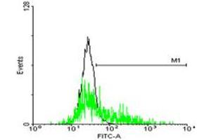 FACS analysis of negative control 293 cells (Black) and GPR143 expressing 293 cells (Green) using GPR143 purified MaxPab mouse polyclonal antibody. (GPR143 抗体  (AA 1-424))