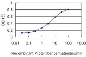 Detection limit for recombinant GST tagged NOTCH3 is approximately 0. (NOTCH3 抗体  (AA 47-156))