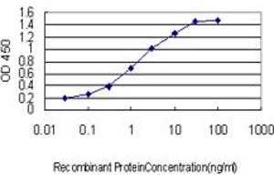 Detection limit for recombinant GST tagged IL23R is approximately 0. (IL23R 抗体  (AA 553-628))