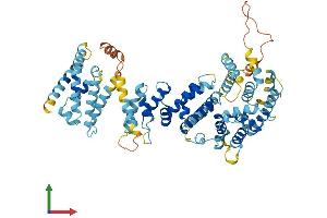 Protein Structure (PS) image for Fanconi Anemia, Complementation Group C (FANCC) (AA 1-591) protein (His tag) (ABIN7563371)
