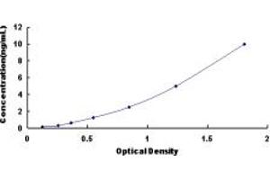 Typical standard curve (ALDH9A1 ELISA 试剂盒)