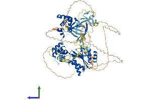 Protein Structure (PS) image for Origin Recognition Complex, Subunit 1 (ORC1L) (AA 1-861) protein (His tag) (ABIN7554817)