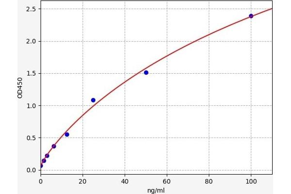 RNASE7 ELISA 试剂盒