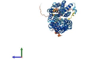 Protein Structure (PS) image for Synaptic Vesicle 2-Related Protein (SVOP) (AA 1-548) protein (His tag) (ABIN7558497)