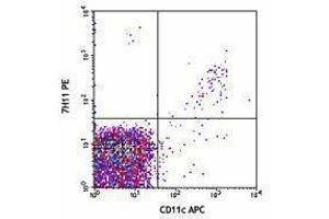 Flow Cytometry (FACS) image for anti-C-Type Lectin Domain Family 9, Member A (CLEC9A) antibody (PE) (ABIN2662625) (CLEC9A 抗体  (PE))