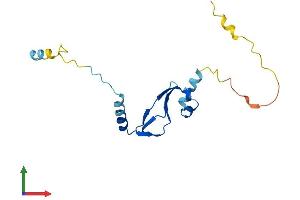 Protein Structure (PS) image for Basic Transcription Factor 3-Like 4 (BTF3L4) (AA 1-158) protein (His tag) (ABIN7560546)